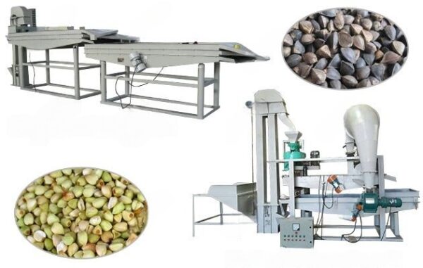 Крупорушка (гречка)