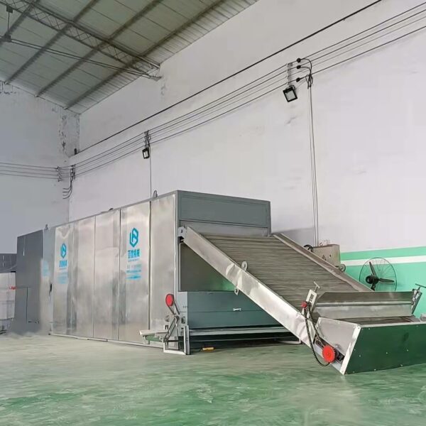  Сушилка овощей конвейерная